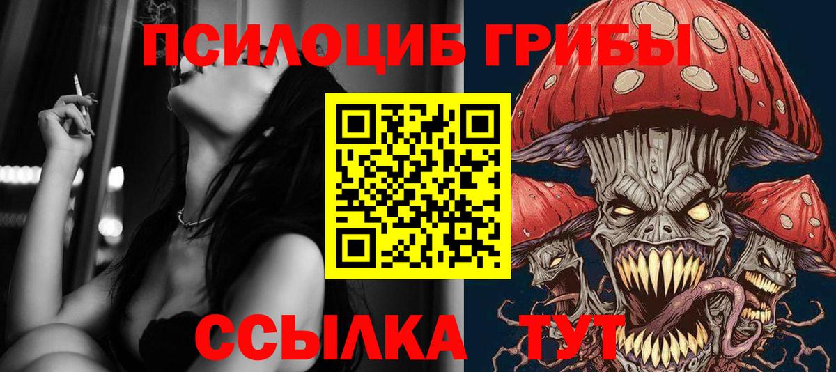 Чистополь  Галлюциногенные грибы мицелий  Вход с VPN 