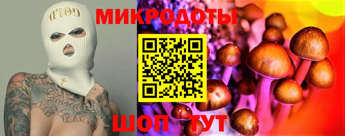 Псилоцибиновые грибы GOLDEN TEACHER Чистополь