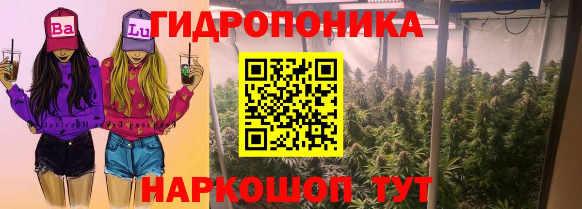 Каннабис сатива  Вход с VPN  Чистополь  Бошки Шишки ГИДРОПОН  Канабис конопля  Бошки марихуана планчик 